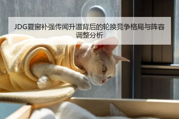 img_1788753910015_456_0_920.jpg | Wanmei