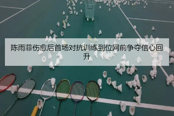 陈雨菲伤愈后首场对抗训练到位网前争夺信心回升（Wanmei）